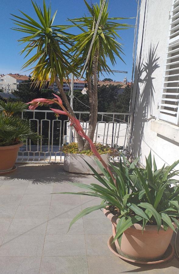 Plavi Zal Apartment Dubrovnik Extérieur photo